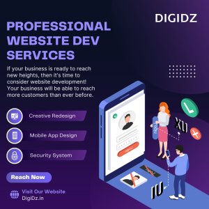 PROFESSIONAL Website Development Service In Pune